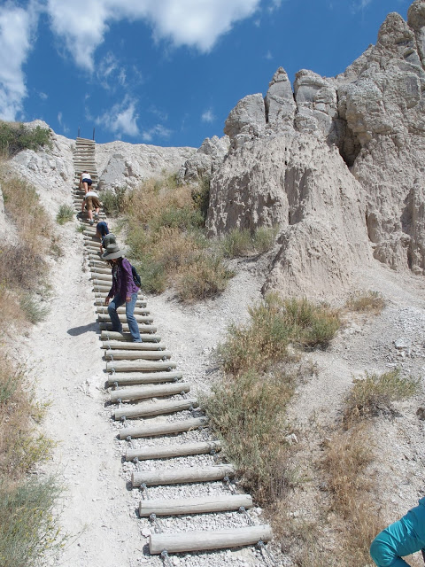 badlands-national-park-ladder