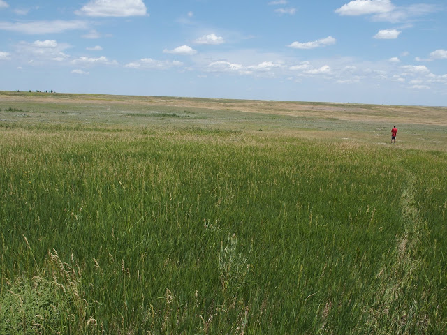 badlands-national-park-prairies