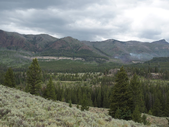 bear_tooth_hwy_forest-fire
