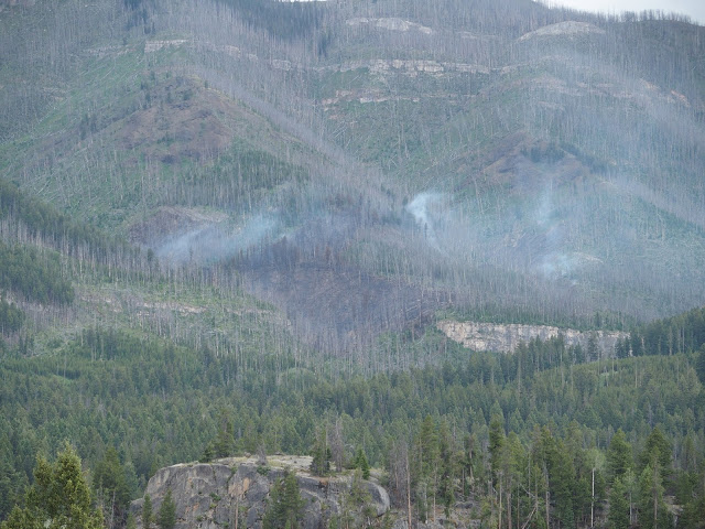 bear_tooth_hwy_forest-fire_2
