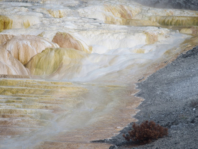 mammoth-hot-springs-pool