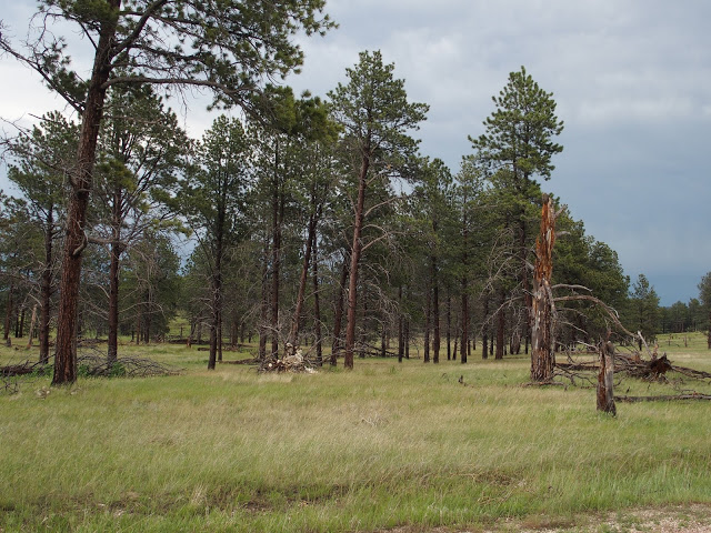 wyoming