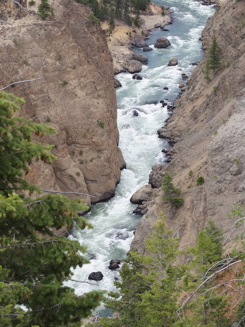 yellowstone-river-rapids
