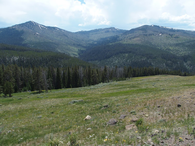 yellowstone-mountain-view