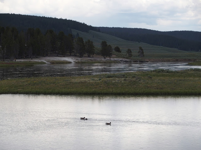 yellowstone_national_park_hayden-valley-lake