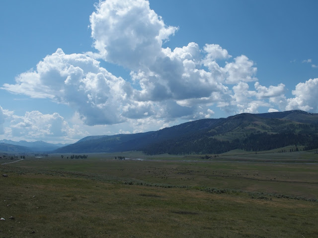 yellowstone_national_park_lamar-valley-range
