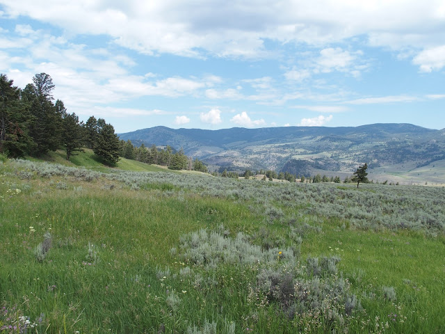 yellowstone_national_park_lamar_valley