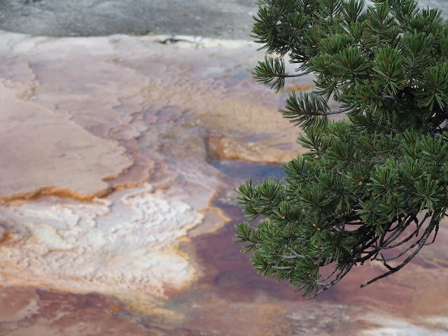 yellowstone_national_park_mammoth-hot-springs-colors