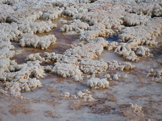 yellowstone_national_park_mammoth-hot-springs-crystal-pools