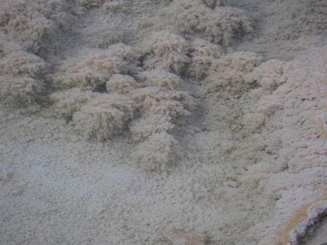 yellowstone_national_park_mammoth-hot-springs-crystals