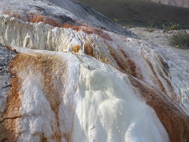 yellowstone_national_park_mammoth-hot-springs-design