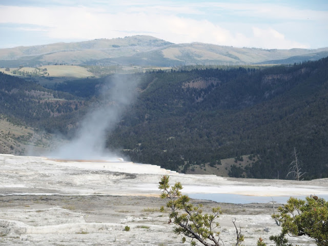 yellowstone_national_park_mammoth-hot-springs-geyser