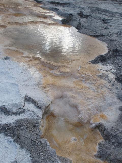 yellowstone_national_park_mammoth-hot-springs-image