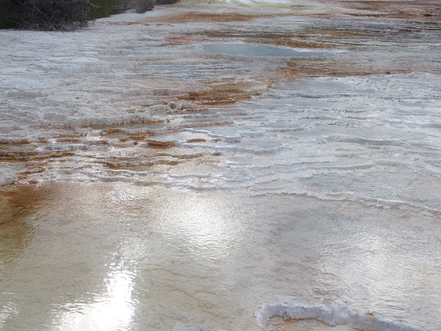yellowstone_national_park_mammoth-hot-springs-images