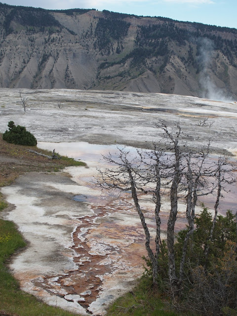 yellowstone_national_park_mammoth-hot-springs-lake
