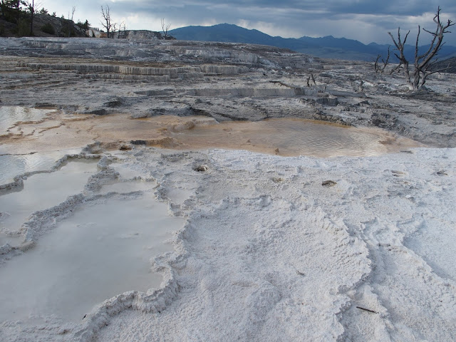 yellowstone_national_park_mammoth-hot-springs-landscape