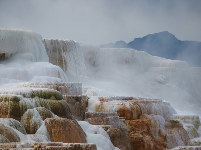 yellowstone_national_park_mammoth-hot-springs-steam