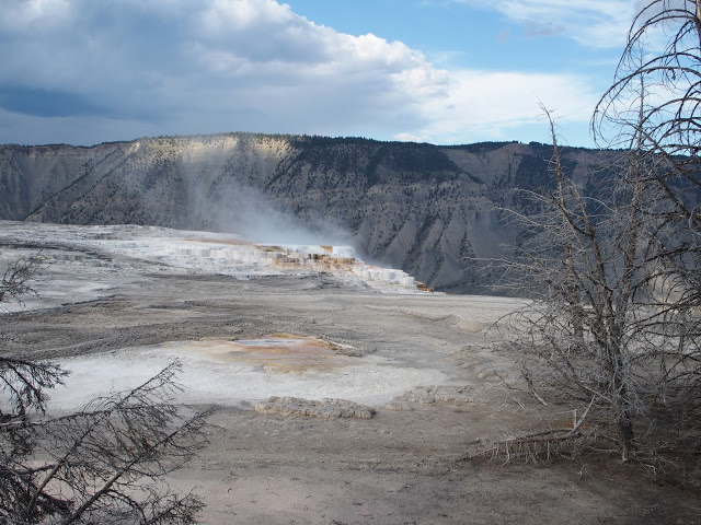 yellowstone_national_park_mammoth-hot-springs-vents