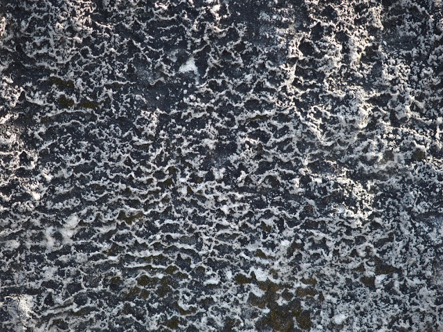 yellowstone_national_park_mammoth
