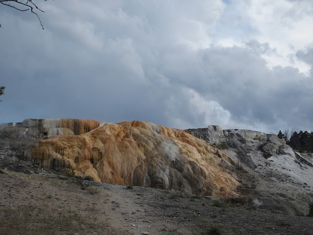 yellowstone_national_park_mammoth_springs