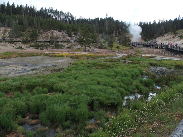 yellowstone_national_park_mud-pots