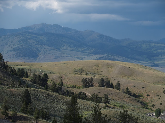 yellowstone_national_park_bison-range