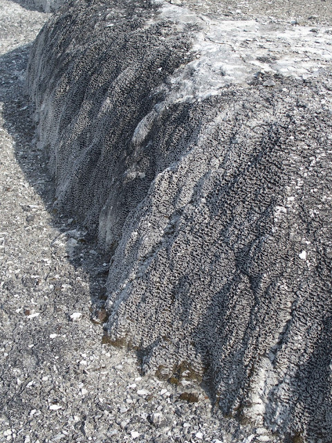 yellowstone_national_park_hotspring-minerals
