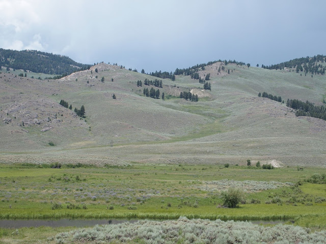 yellowstone_national_park_lamar-wolf-den