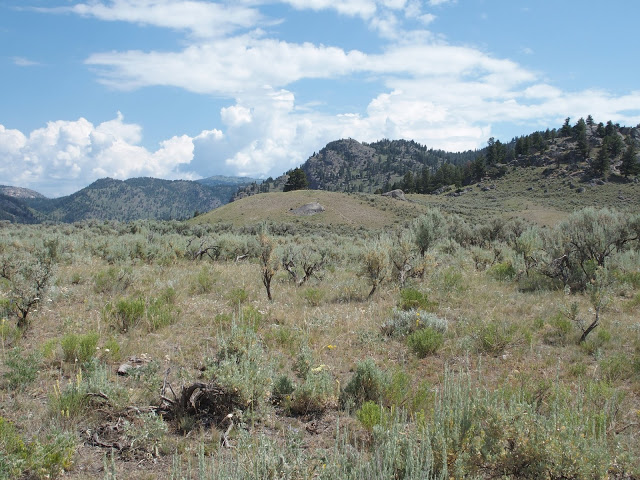 yellowstone_national_park_range