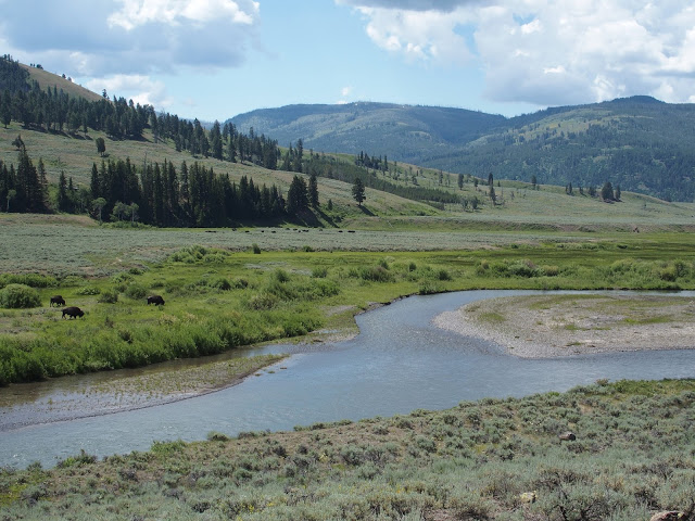yellowstone_national_park_river-valley