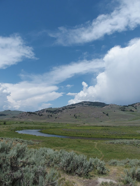 yellowstone_national_park_rolling-hills