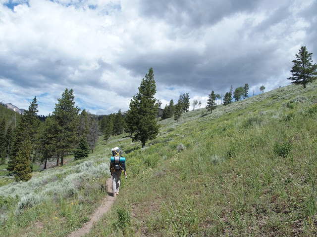 out-on-the-trail