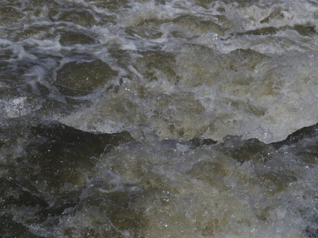 A stinking flow of untreated animal waste and pasture run-off.