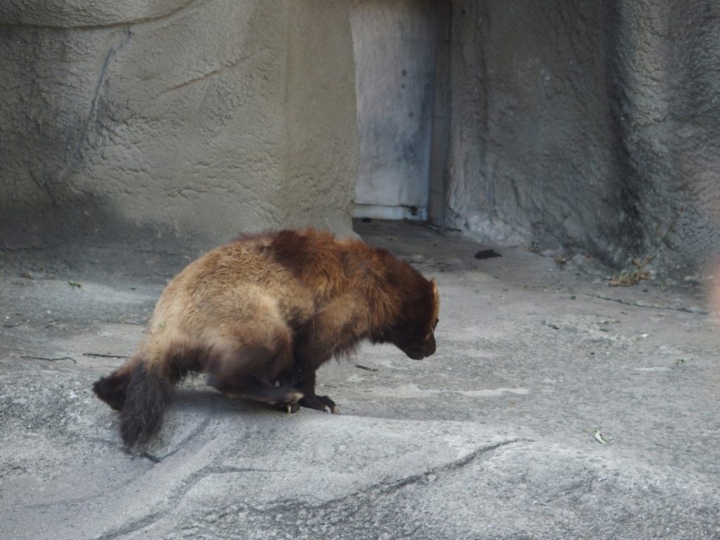 P7203369.JPG