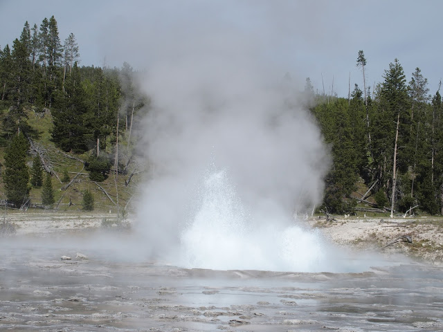 yellowstone-bubbling-geyser