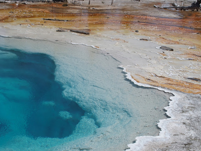 yellowstone-cyan-hotsprings