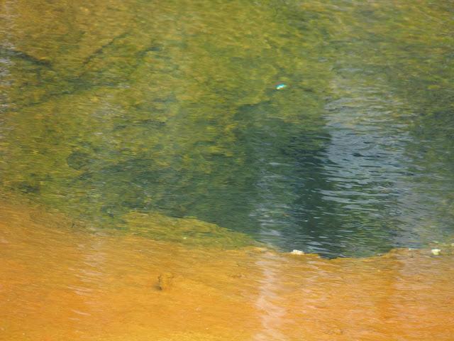 yellowstone-pool-temperatures-by-color