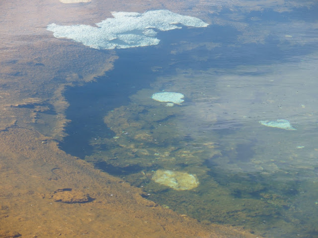 yellowstone-thermal-pool