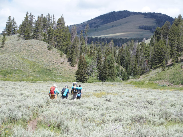 backpacking-across-the-meadow