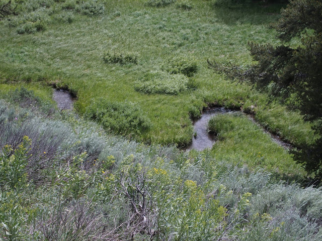 creek