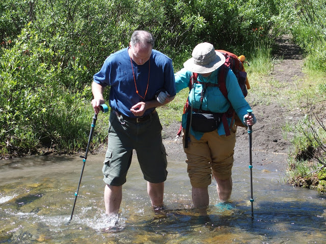 helping-to-cross