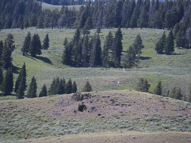 rolling-hills
