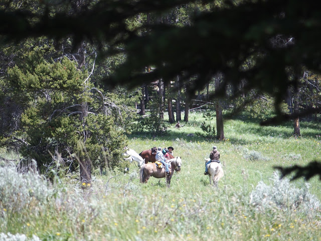 trail-ride