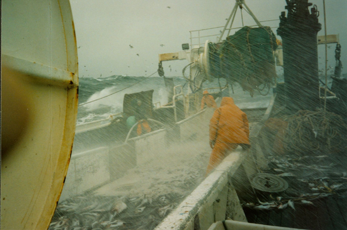 fishstorm